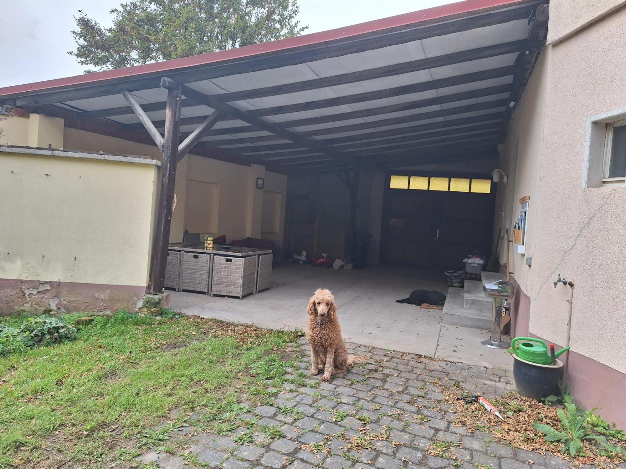 Ferienhaus Herztor Bad Bibra Exterior photo